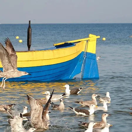 Mierzeja - Forest, Klimatyzacja, Przyjazne Zwierzętom, Bezpłatny Meleks Stegna (Pomerania)