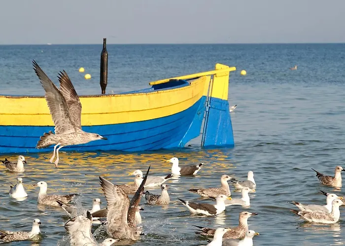 Mierzeja - Forest, Klimatyzacja, Przyjazne Zwierzetom, Bezplatny Meleks Stegna (Pomerania)